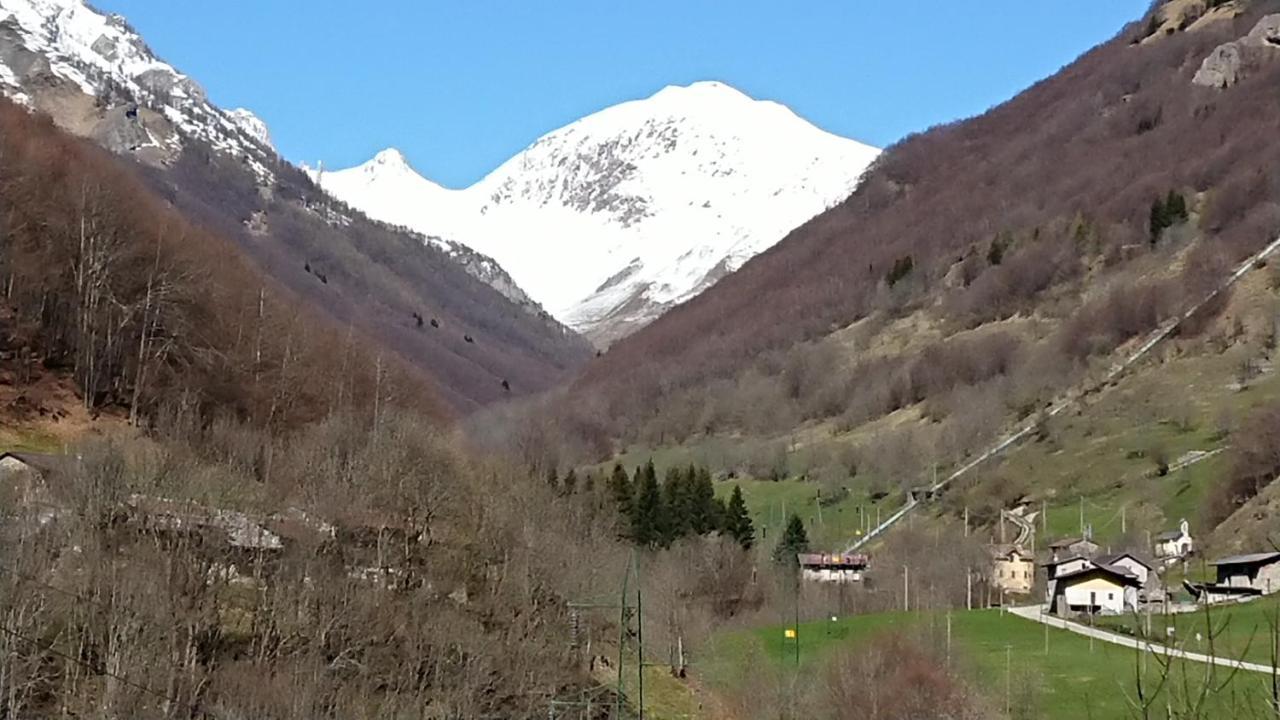 Morier *